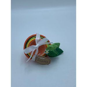 10 Strawberry Street Ceramic Citrus Fruit Measuring Cups